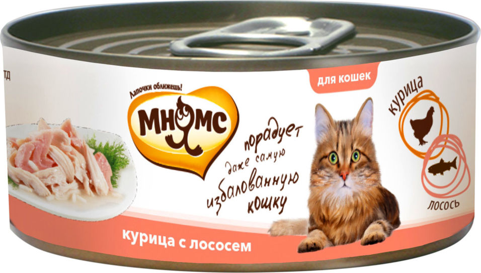 Корм для кошек Мнямс Курица с лососем в нежном желе 70г Корм для кошек Мнямс Курица с лососем в нежном желе 70г